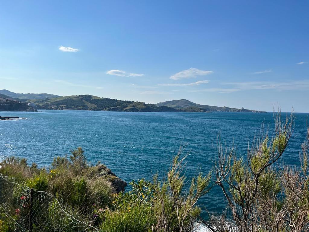 La Villa B Banyuls-sur-Mer Extérieur photo